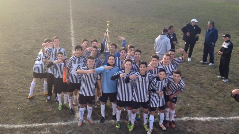 ACTUALIDAD CEBRITA (29/07)