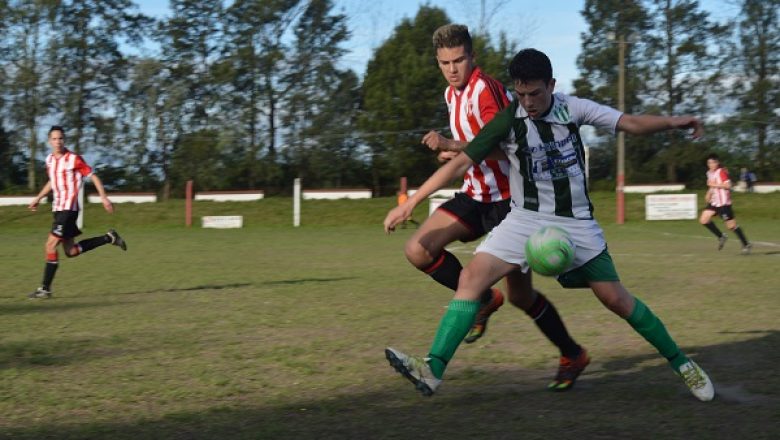 ACTUALIDAD ALBIVERDE (23/09)