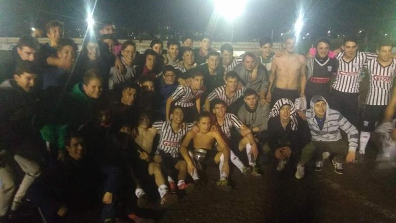 APERTURA CEBRITA