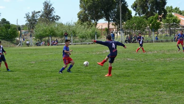 Fecha nueve del Baby