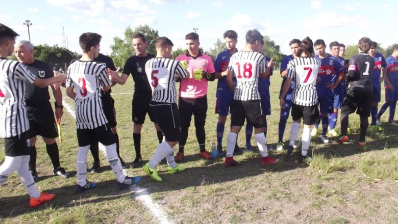 Primera en casa cebrita