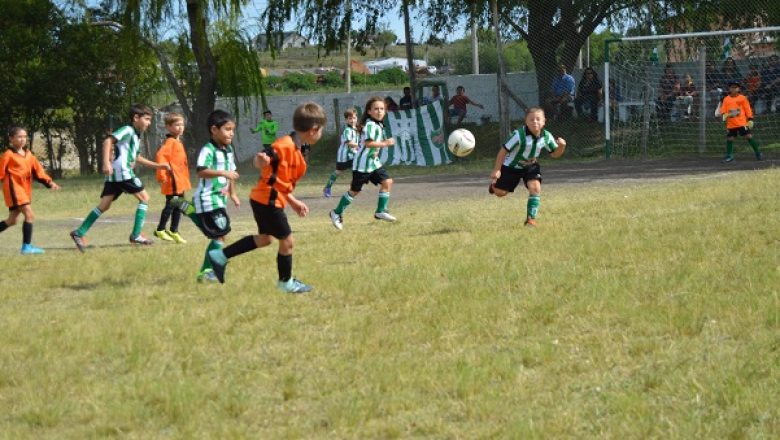 Galería del Baby Fútbol (2)