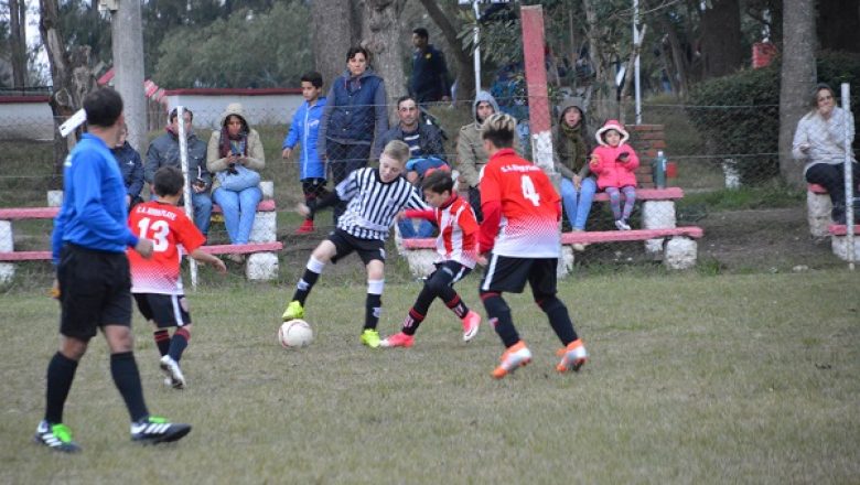 Galería Del Baby (14)