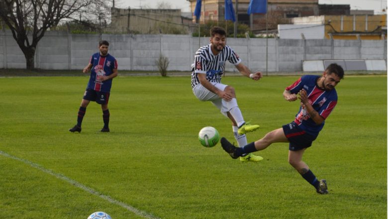 Clara victoria cebrita