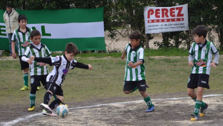 Tercera del baby