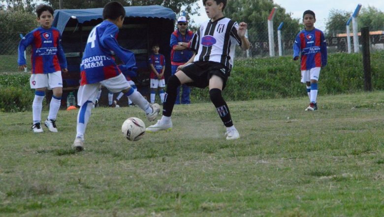 Dos tercios de torneo