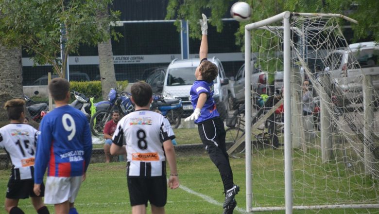 Galería del Baby 2019 (1)