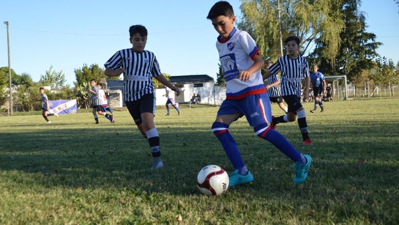 Galería del Baby 2019 (5)