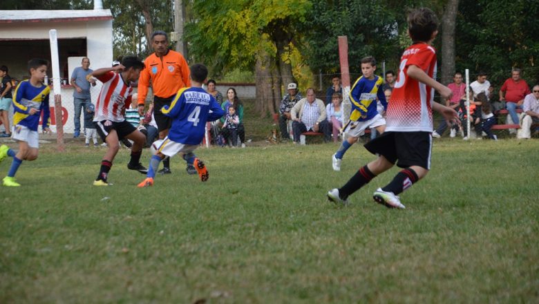 Galería del Baby 2019 (4)