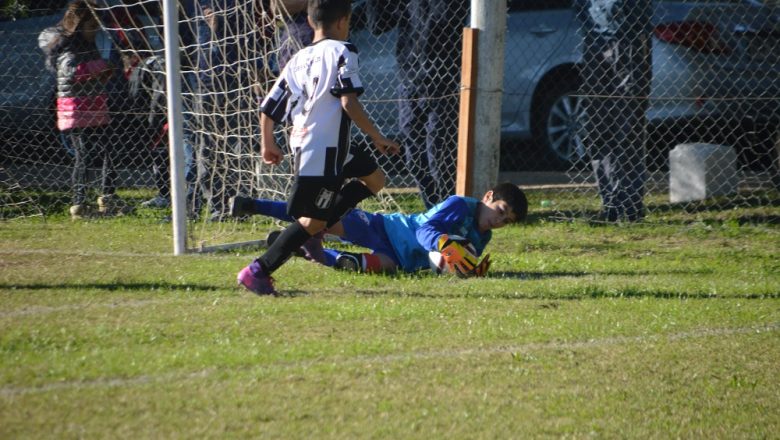 Galería del Baby (10)