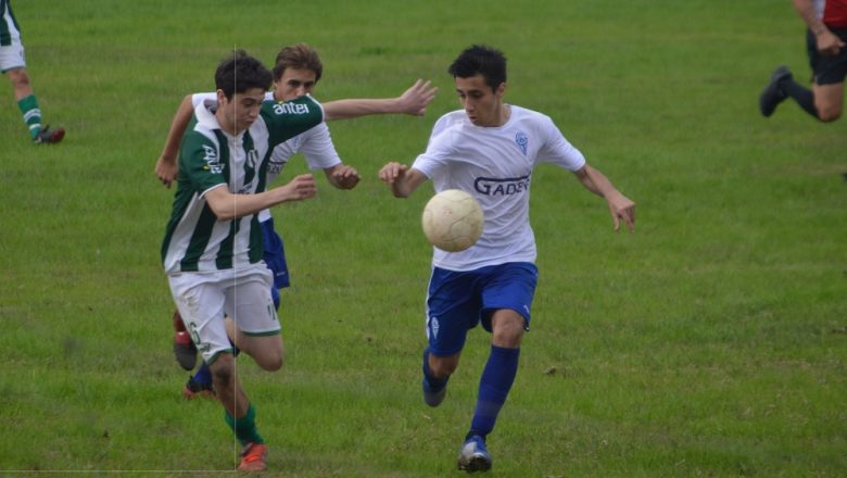 Fixtures Sub 15 y 17 en Liga Mayor