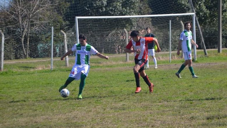 Sigue puntero