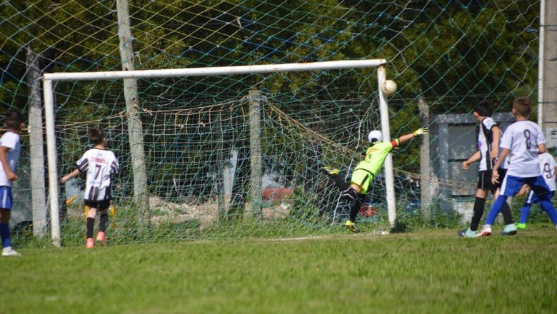 Galería del Baby (18)