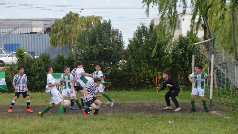 Galería del baby (19)