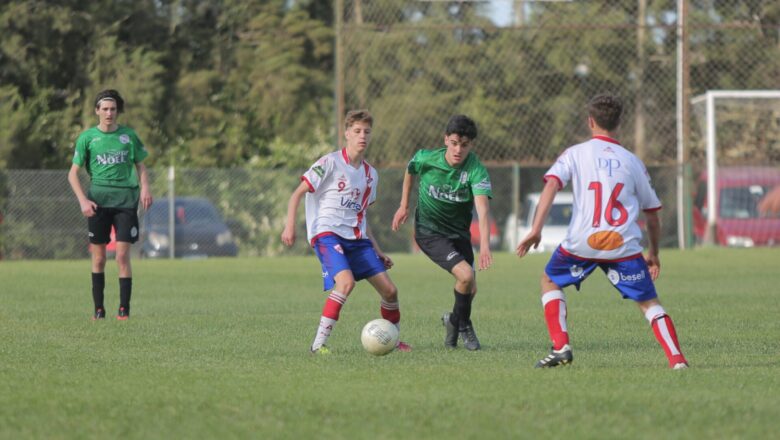 Lideratos compartidos