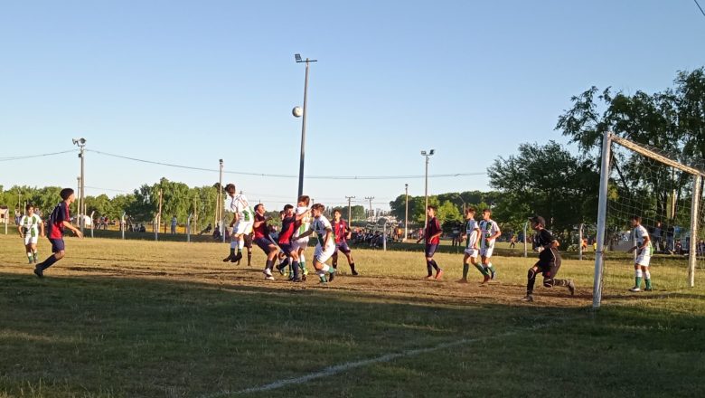 Liga Mayor acelera sus torneos de menores