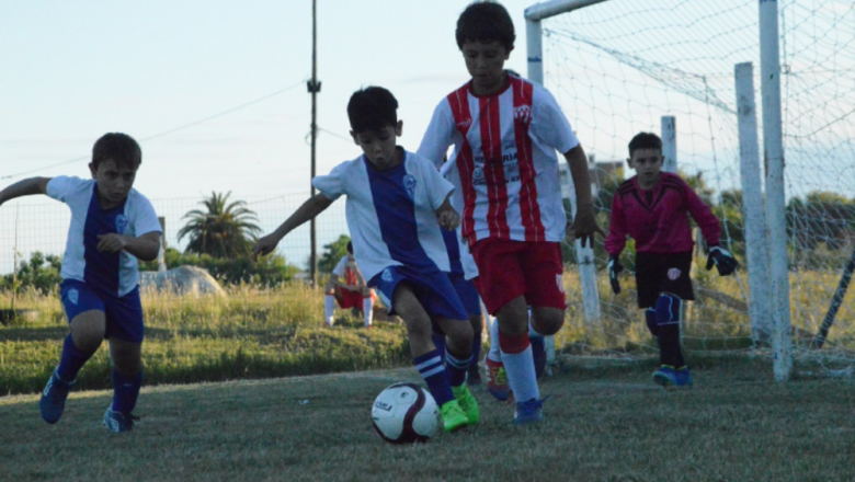 Galería del baby 2020 (12)