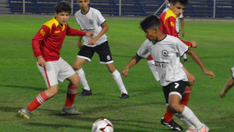 Semillas y Babys adentro