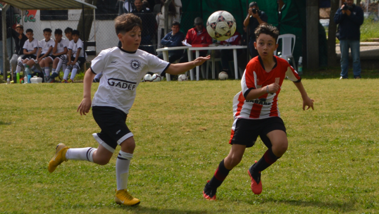 Dos triunfos importantes