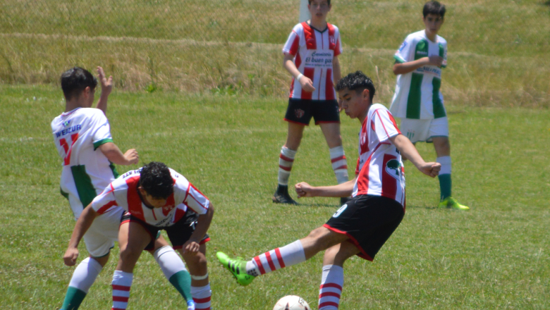 Dominio albiverde/decano