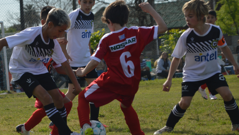 Más que baby fútbol: la historia de Los Gorriones - EL PAÍS Uruguay