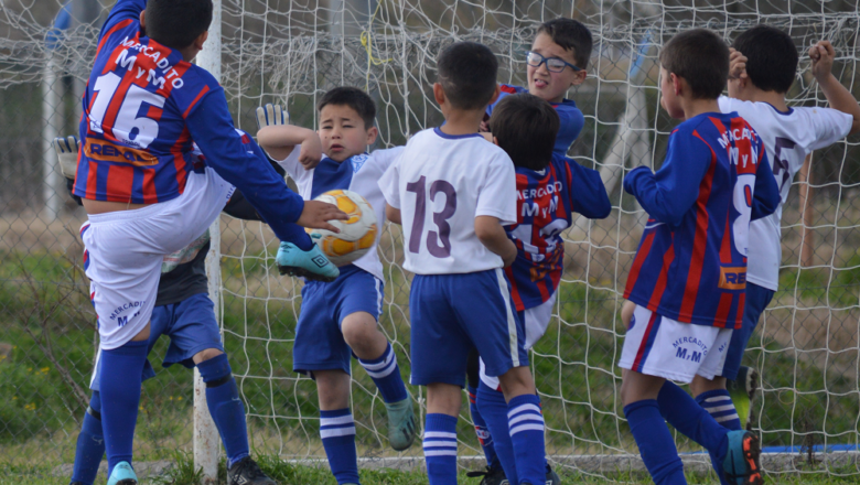 Más que baby fútbol: la historia de Los Gorriones - EL PAÍS Uruguay