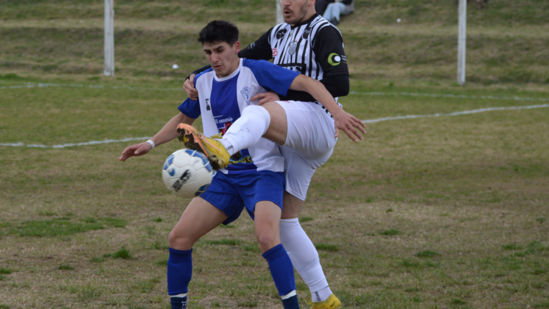 Cebrita a semis del Apertura