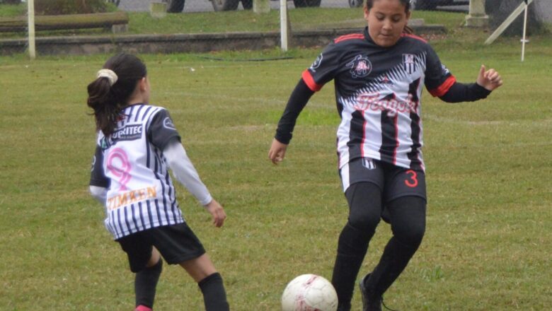 Al día con el Apertura