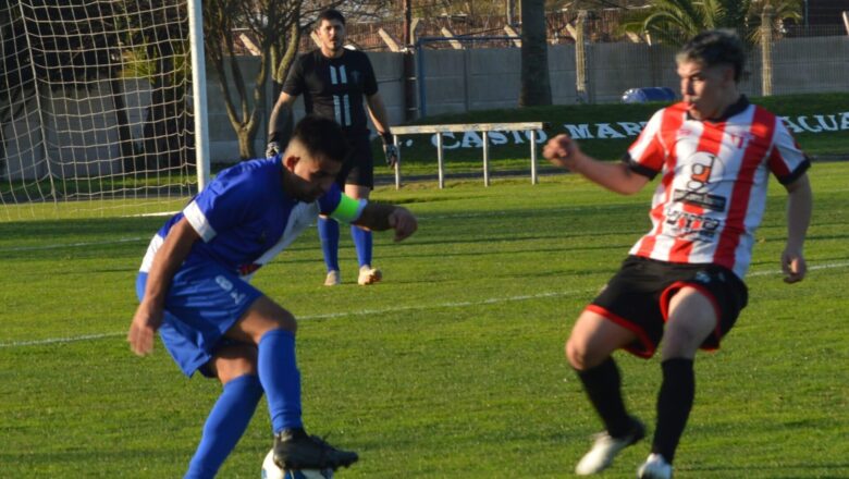 Toda la fecha (4)