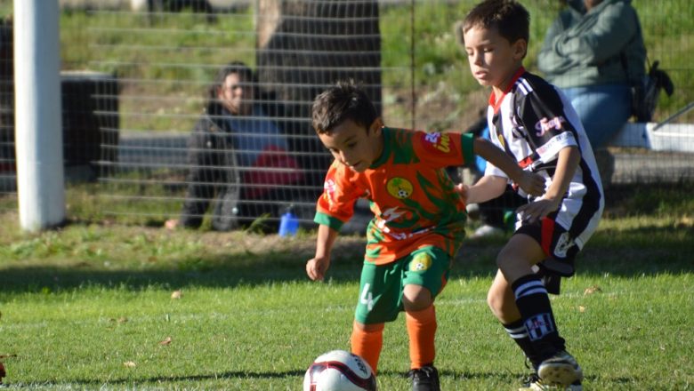 Galería del Baby 2025 (2)