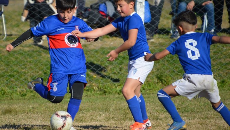 Galería del Baby 2025 (10)