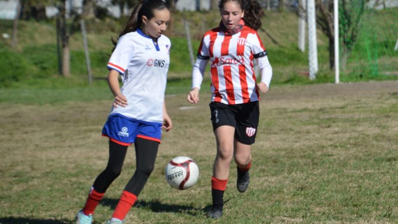 Liderazgos repartidos tras la once