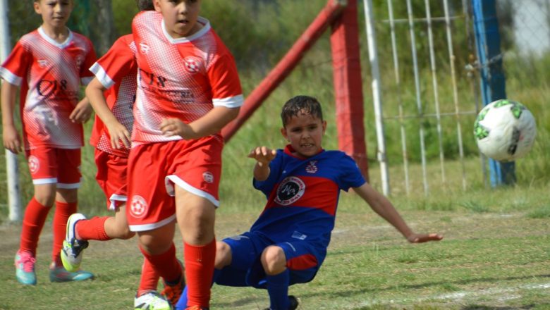 Galería del Baby 2025 (23)