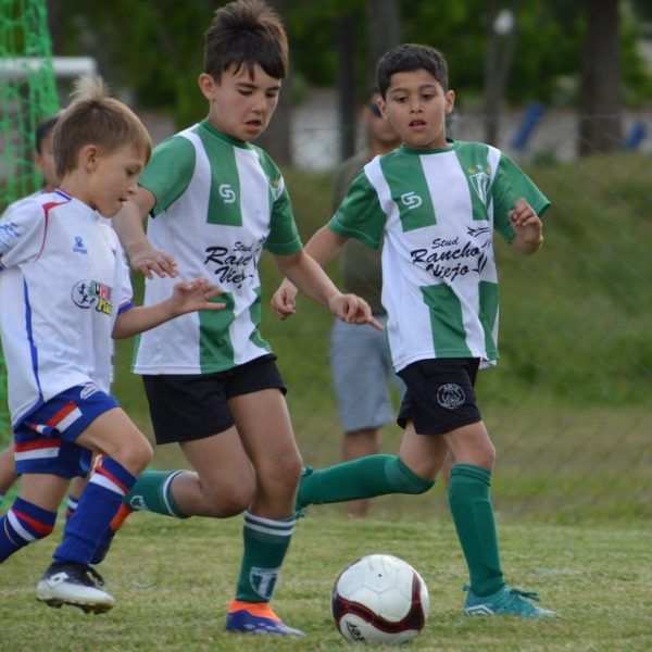 Confirmados más pasajes a Oro