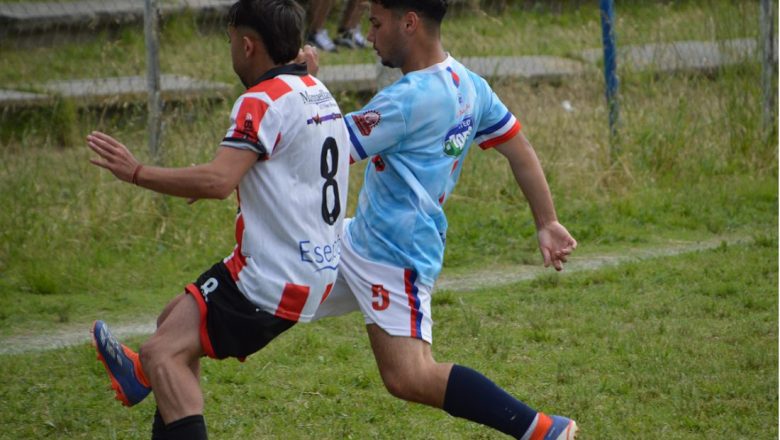 Con clasificados y al día