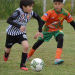 Galería del Baby 2025 (24)