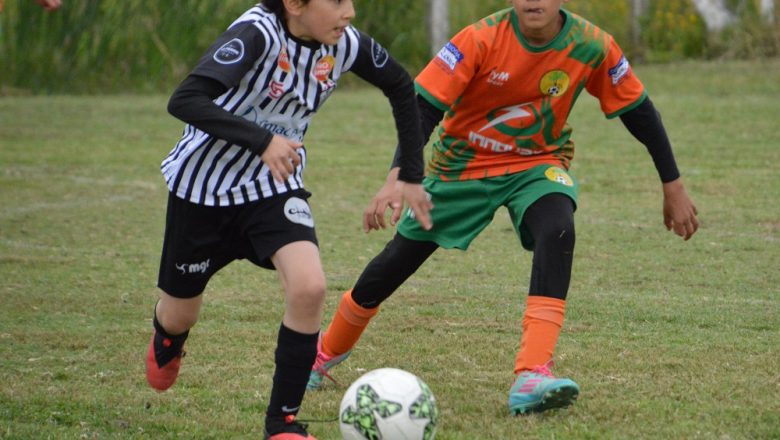 Galería del Baby 2025 (24)