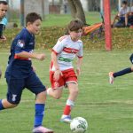 Cumplió con el primer tercio del Apertura