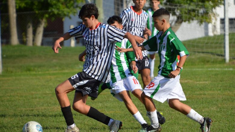 Cuatro cruces con reparto de puntos