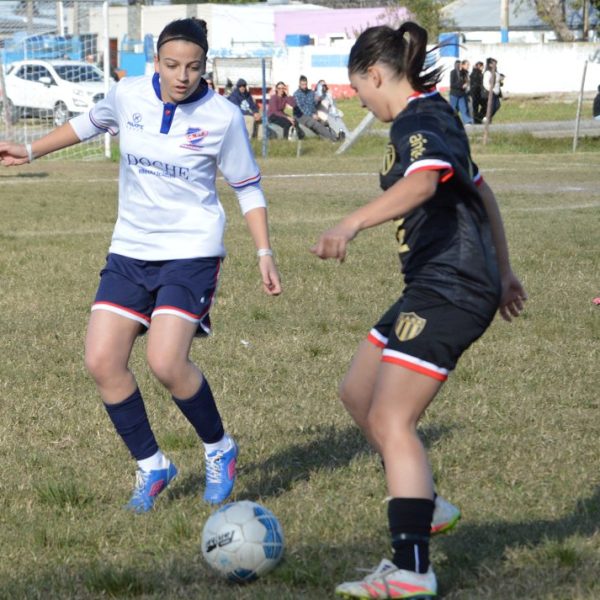 Goleado empate entre candidatos
