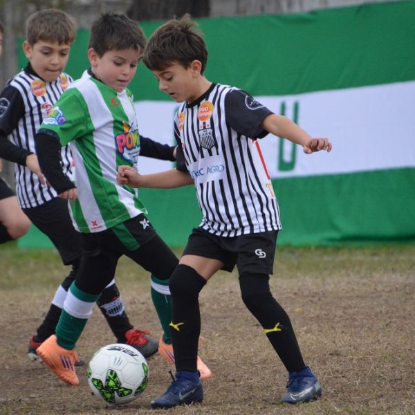 Galería del Baby 2026 (7)
