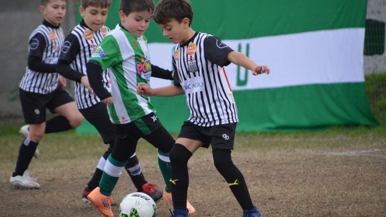 Galería del Baby 2026 (7)
