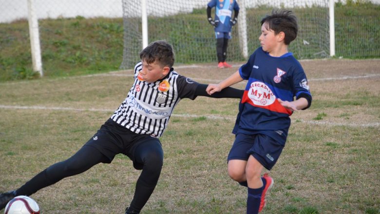 Galería del Baby 2026 (5)