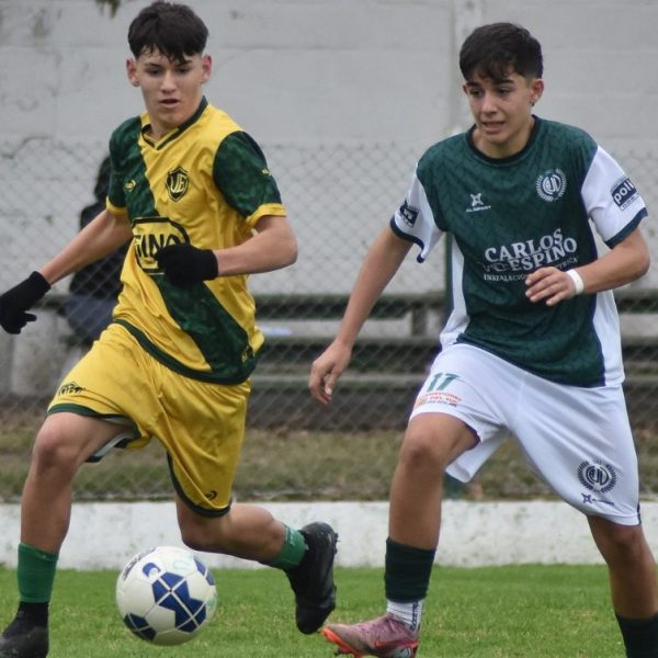 Un puntero perfecto en cada categoría
