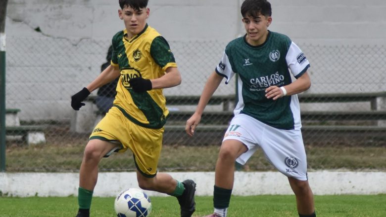 Un puntero perfecto en cada categoría