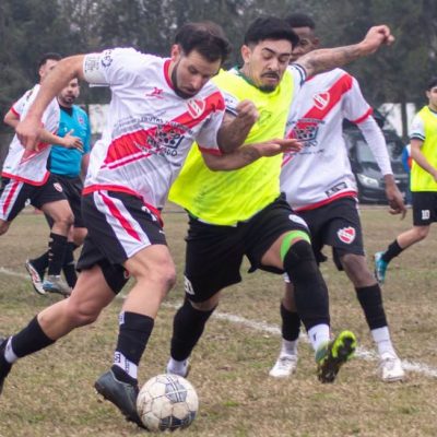 Cada serie con un único puntero