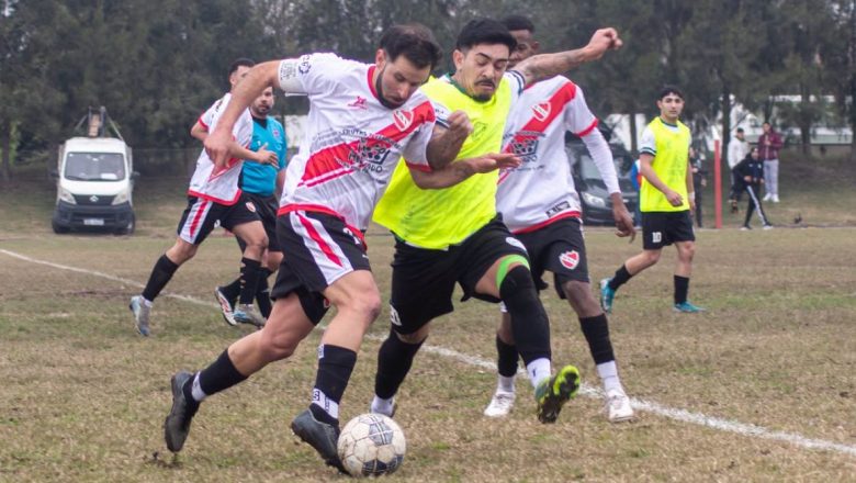 Cada serie con un único puntero