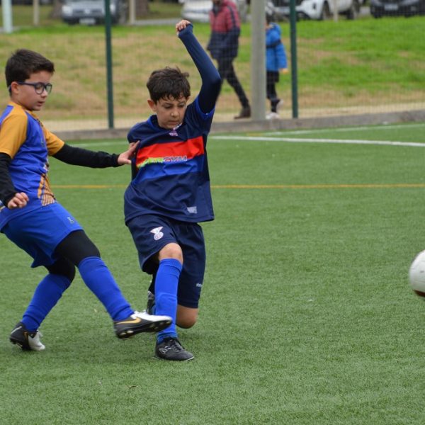 Galería del Baby 2026 (10)