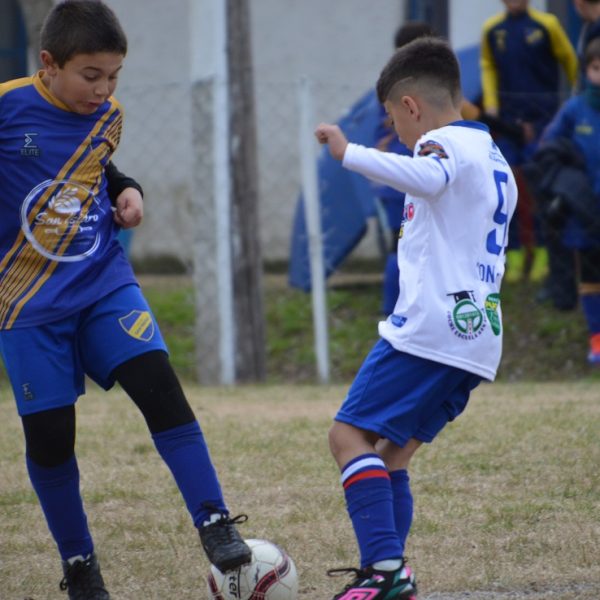 Regresó con la jornada doce