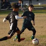 Terminó la fase regular en el Apertura
